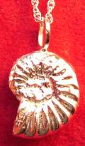 Ammonite pendant